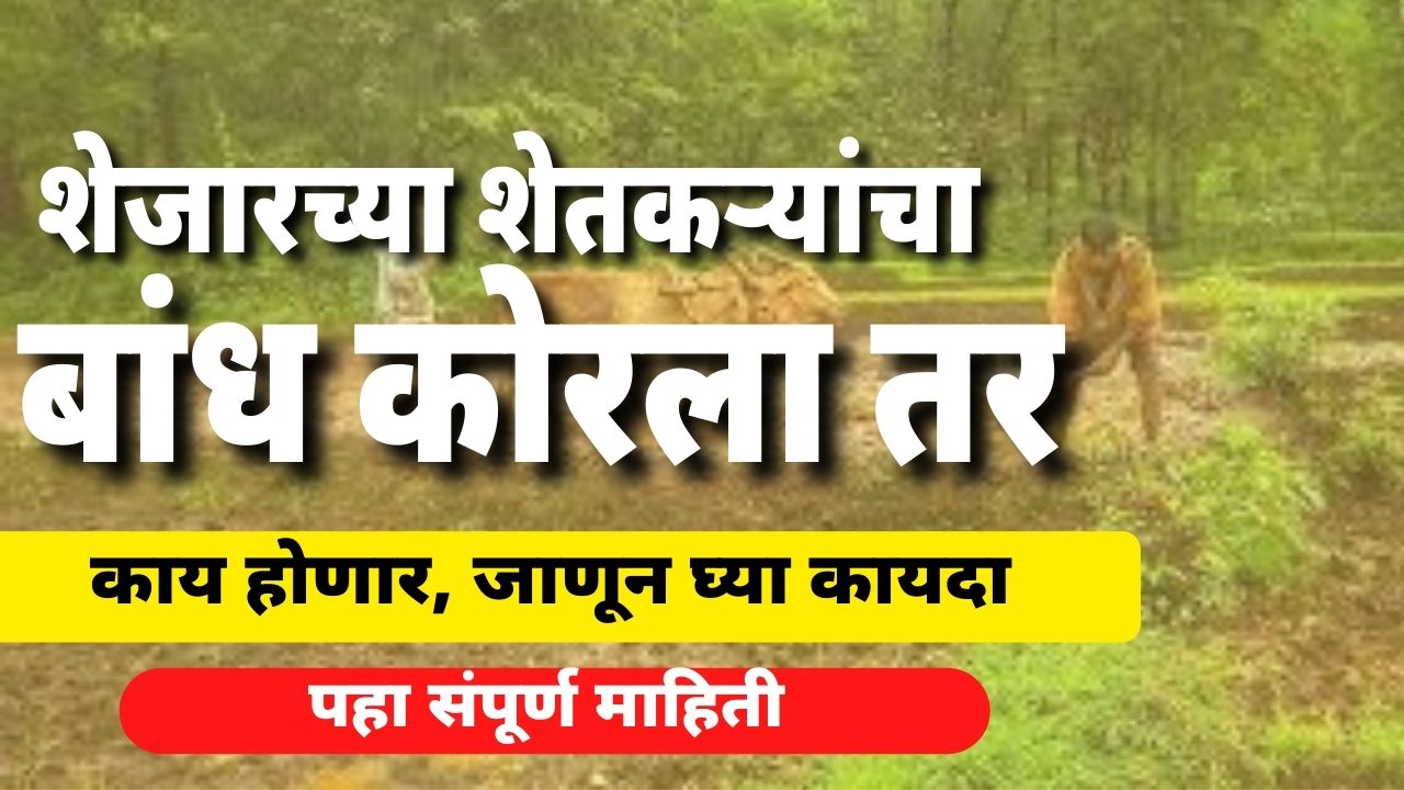 Agriculture Laws : शेजारच्या शेतकऱ्याच्या शेताचा बांध कोरला तर काय होते ? जाणून घ्या कायदा